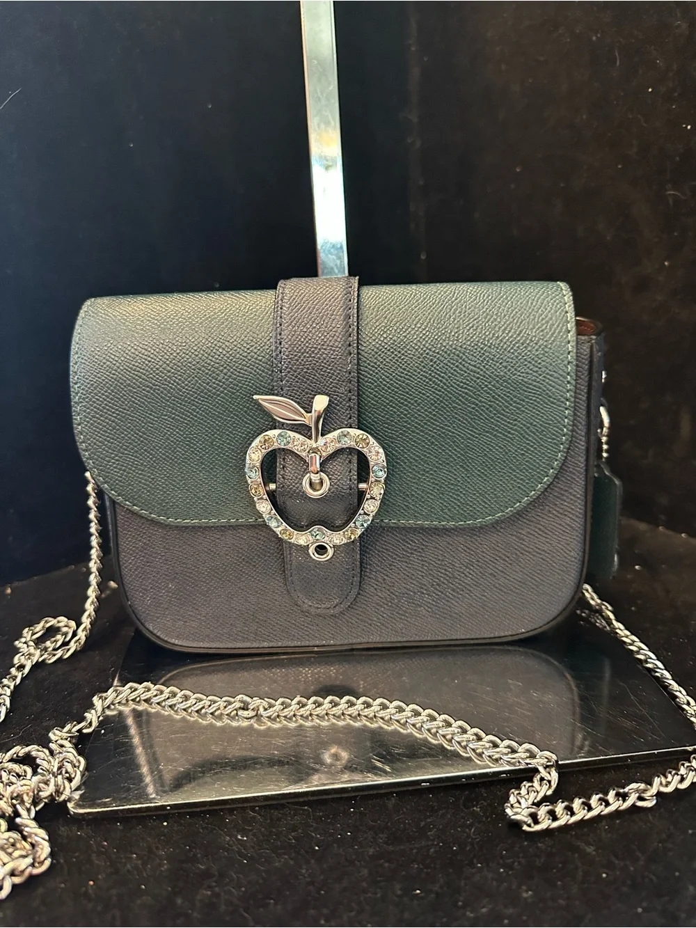 Coach #271 Gemma Crossbody  Bag  in Colorblock  with Crystal Apple 🍏 Buckle